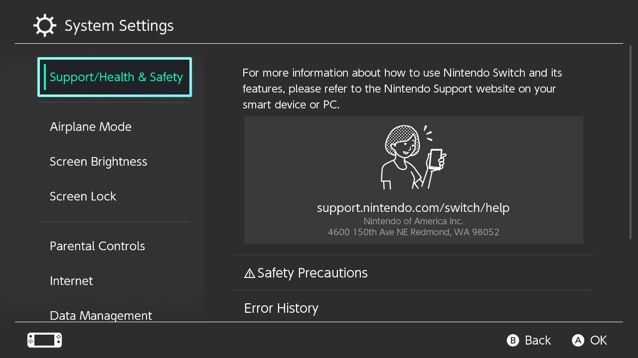 Nintendo Switch Health and Safety
