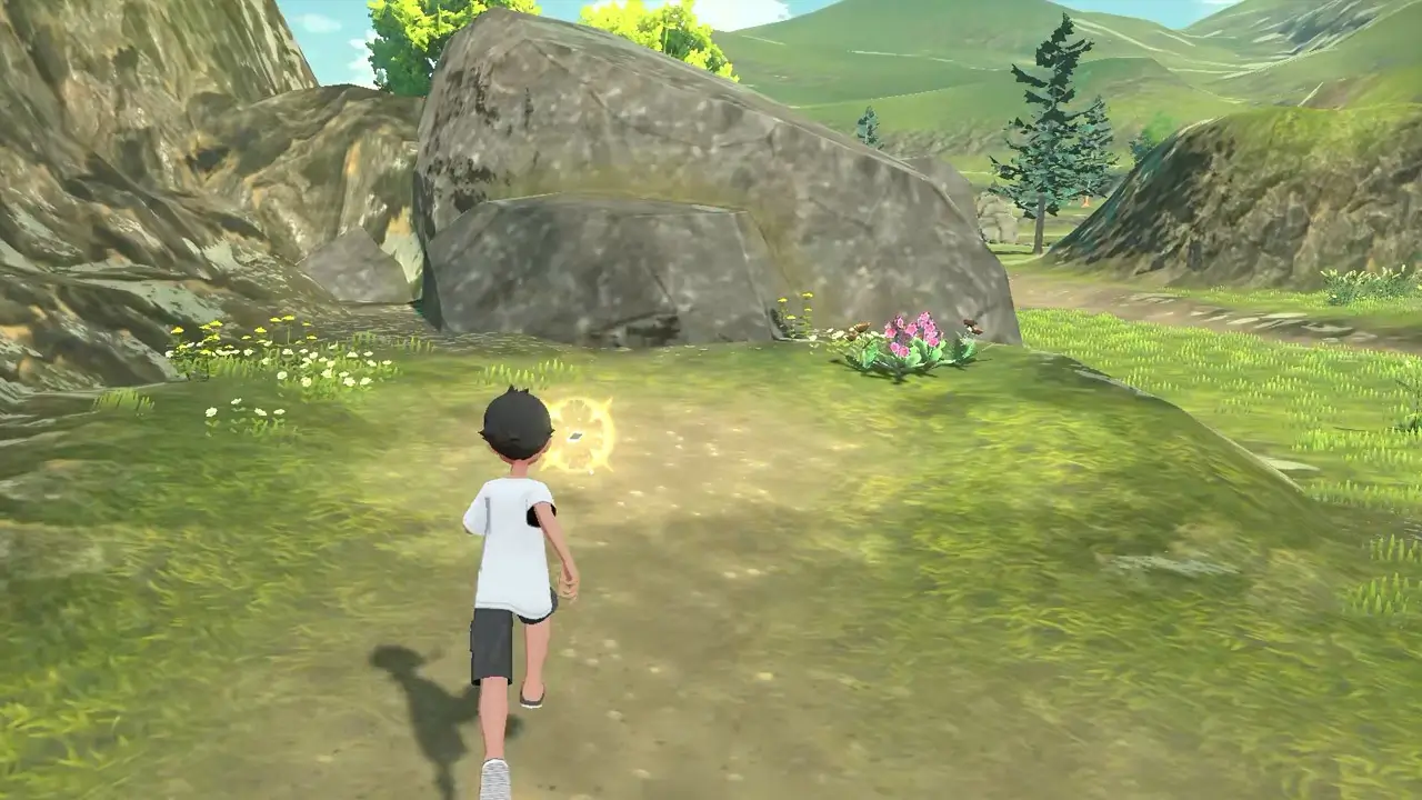 boy walking in wilds