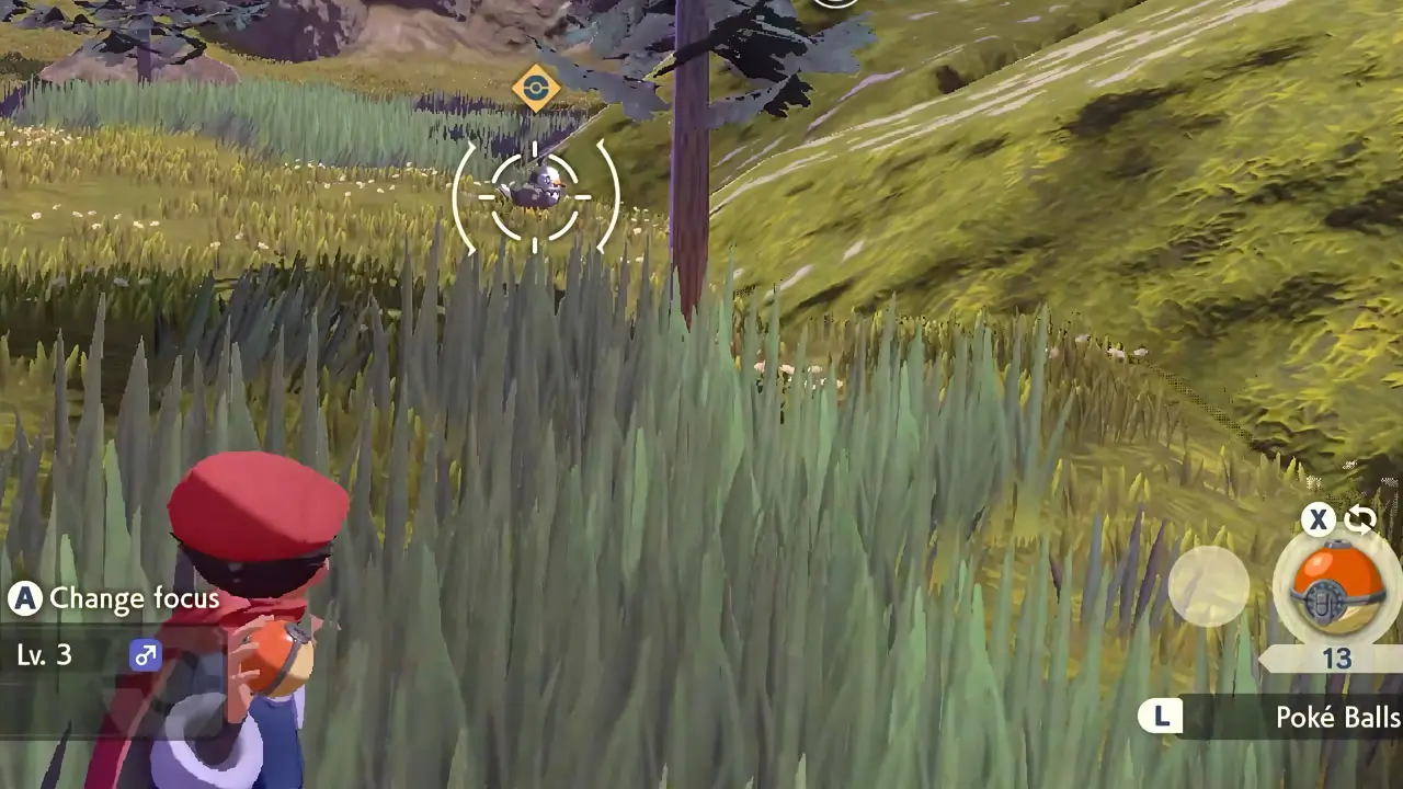 trainer catching pokemon in grass